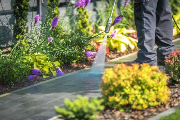 Best Parking Lot Cleaning in Bloomsburg, PA