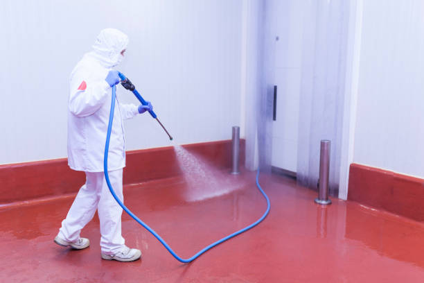 Best Sidewalk and Walkway Pressure Cleaning in Bloomsburg, PA