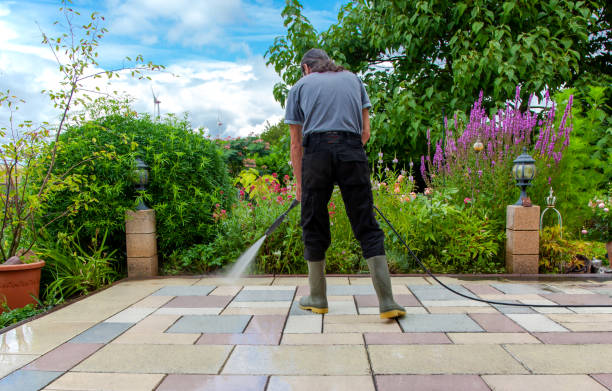 Best Soft Washing for Delicate Surfaces in Bloomsburg, PA